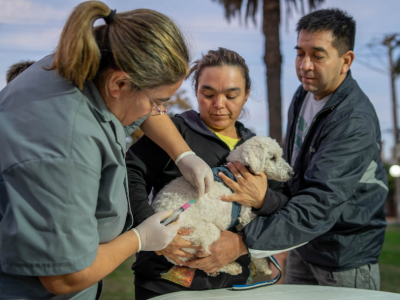 Se inmunizaron mas de 300 mascotas en la jornada de vacunación antirrábica